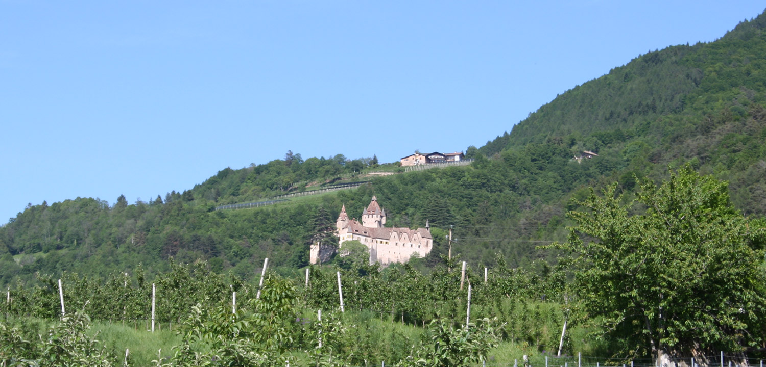 Schloss Enn oberhalb Montan